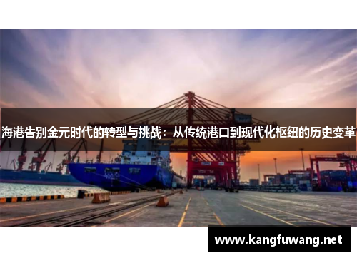 海港告别金元时代的转型与挑战：从传统港口到现代化枢纽的历史变革