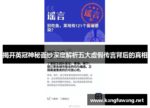 揭开英冠神秘面纱深度解析五大虚假传言背后的真相